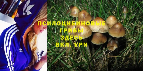 Альфа ПВП Алексин